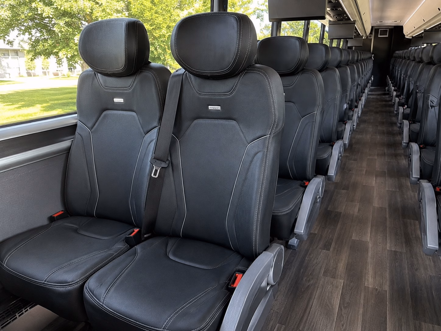 bus rentals to sassafras springs vineyard and the springdale wine scene